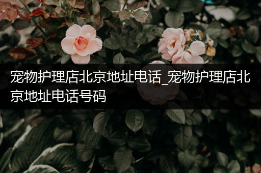 宠物护理店北京地址电话_宠物护理店北京地址电话号码