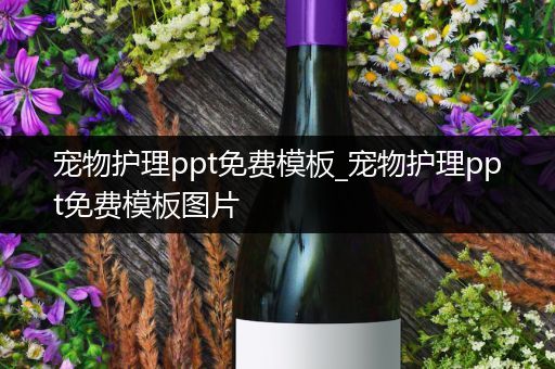 宠物护理ppt免费模板_宠物护理ppt免费模板图片