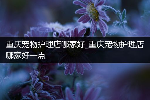 重庆宠物护理店哪家好_重庆宠物护理店哪家好一点