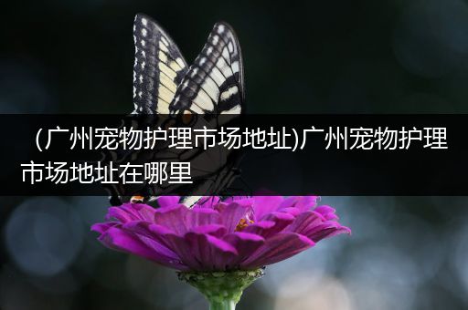 （广州宠物护理市场地址)广州宠物护理市场地址在哪里