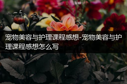 宠物美容与护理课程感想-宠物美容与护理课程感想怎么写