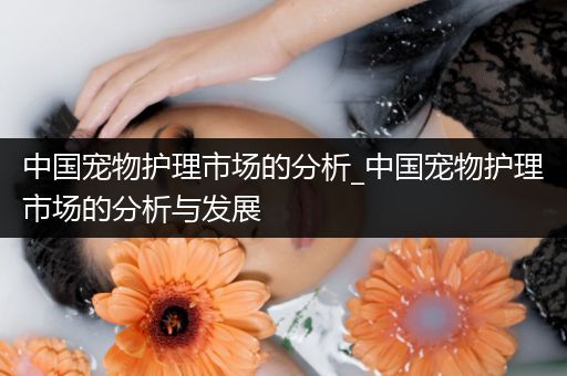 中国宠物护理市场的分析_中国宠物护理市场的分析与发展