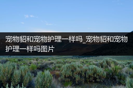 宠物貂和宠物护理一样吗_宠物貂和宠物护理一样吗图片