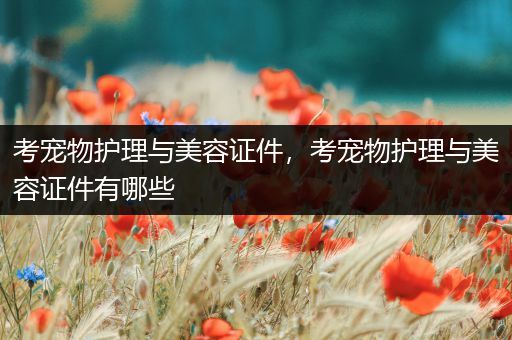 考宠物护理与美容证件，考宠物护理与美容证件有哪些