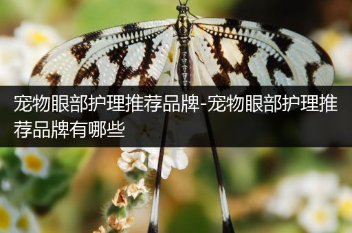 宠物眼部护理推荐品牌-宠物眼部护理推荐品牌有哪些