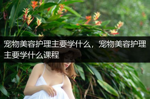 宠物美容护理主要学什么，宠物美容护理主要学什么课程