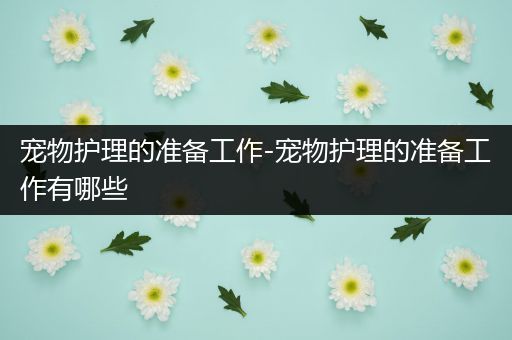 宠物护理的准备工作-宠物护理的准备工作有哪些