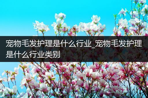 宠物毛发护理是什么行业_宠物毛发护理是什么行业类别