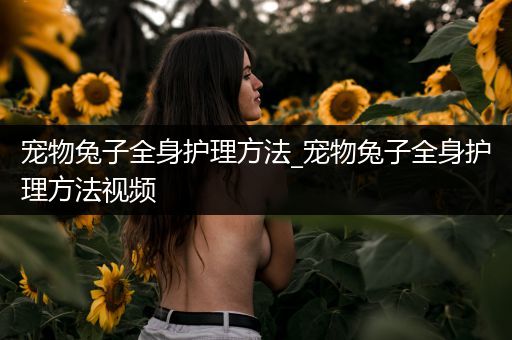 宠物兔子全身护理方法_宠物兔子全身护理方法视频