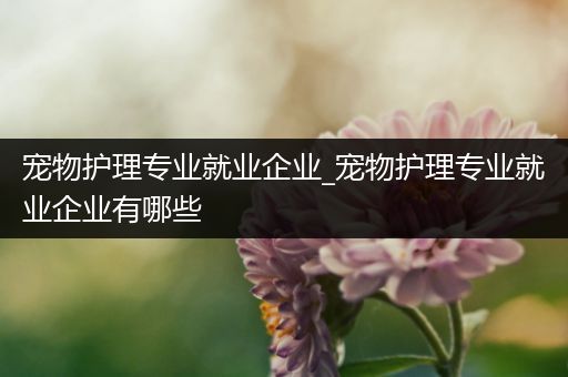 宠物护理专业就业企业_宠物护理专业就业企业有哪些