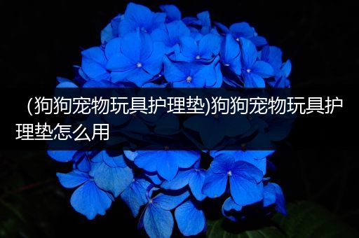 （狗狗宠物玩具护理垫)狗狗宠物玩具护理垫怎么用
