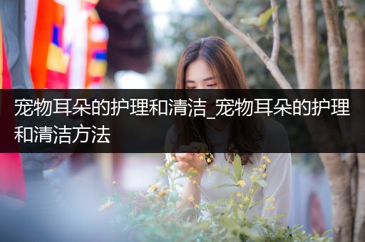 宠物耳朵的护理和清洁_宠物耳朵的护理和清洁方法