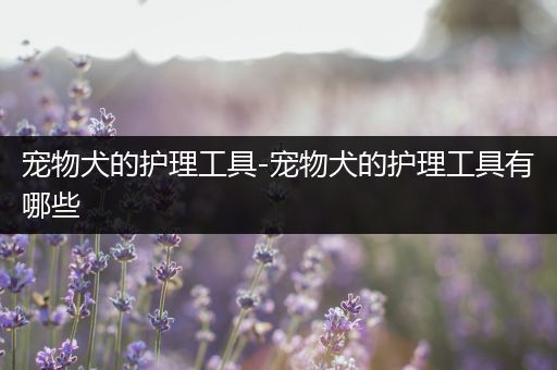 宠物犬的护理工具-宠物犬的护理工具有哪些