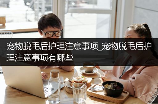 宠物脱毛后护理注意事项_宠物脱毛后护理注意事项有哪些
