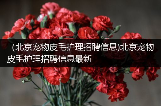 （北京宠物皮毛护理招聘信息)北京宠物皮毛护理招聘信息最新