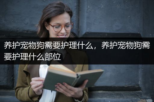 养护宠物狗需要护理什么，养护宠物狗需要护理什么部位