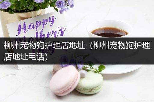 柳州宠物狗护理店地址（柳州宠物狗护理店地址电话）