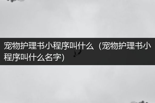 宠物护理书小程序叫什么（宠物护理书小程序叫什么名字）