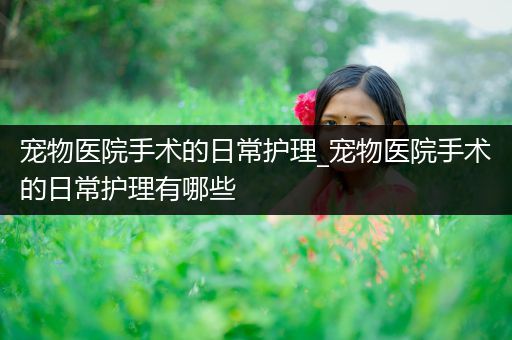 宠物医院手术的日常护理_宠物医院手术的日常护理有哪些