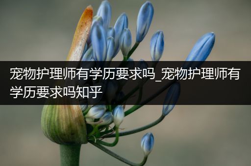 宠物护理师有学历要求吗_宠物护理师有学历要求吗知乎