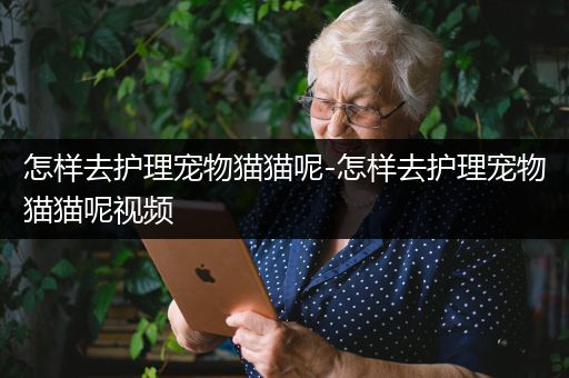 怎样去护理宠物猫猫呢-怎样去护理宠物猫猫呢视频