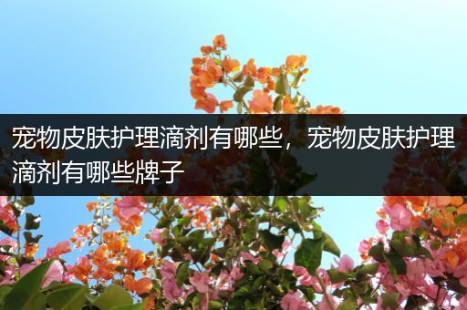 宠物皮肤护理滴剂有哪些，宠物皮肤护理滴剂有哪些牌子