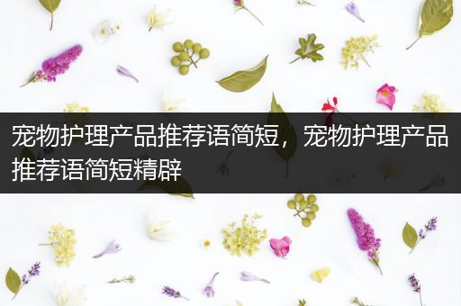 宠物护理产品推荐语简短，宠物护理产品推荐语简短精辟