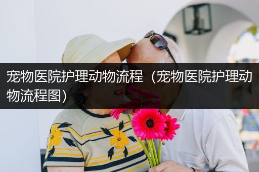 宠物医院护理动物流程（宠物医院护理动物流程图）
