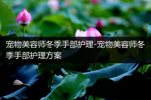 宠物美容师冬季手部护理-宠物美容师冬季手部护理方案