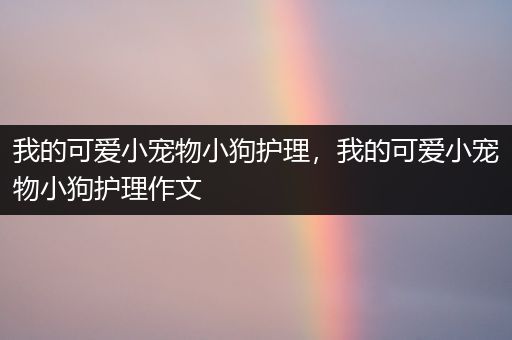 我的可爱小宠物小狗护理，我的可爱小宠物小狗护理作文