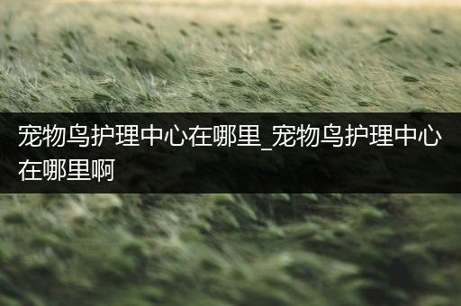 宠物鸟护理中心在哪里_宠物鸟护理中心在哪里啊