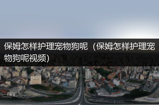 保姆怎样护理宠物狗呢（保姆怎样护理宠物狗呢视频）