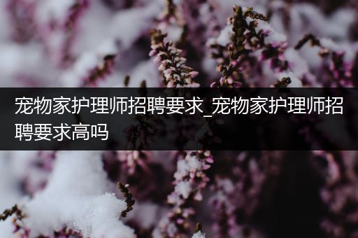 宠物家护理师招聘要求_宠物家护理师招聘要求高吗