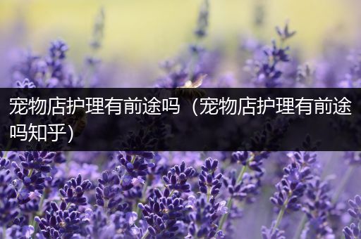宠物店护理有前途吗（宠物店护理有前途吗知乎）