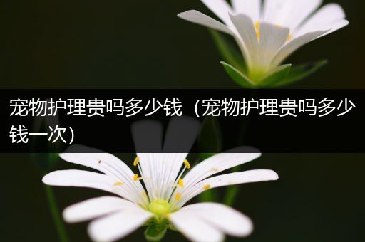 宠物护理贵吗多少钱（宠物护理贵吗多少钱一次）