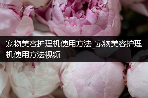 宠物美容护理机使用方法_宠物美容护理机使用方法视频