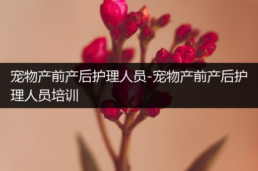 宠物产前产后护理人员-宠物产前产后护理人员培训