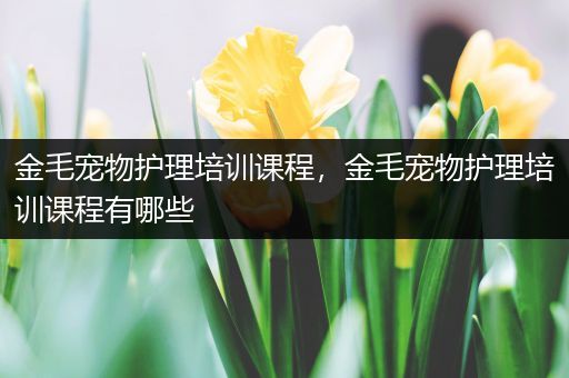 金毛宠物护理培训课程，金毛宠物护理培训课程有哪些