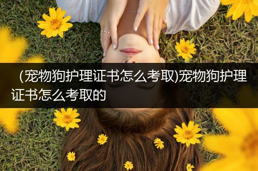 （宠物狗护理证书怎么考取)宠物狗护理证书怎么考取的