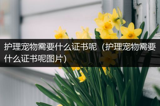 护理宠物需要什么证书呢（护理宠物需要什么证书呢图片）