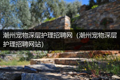 潮州宠物深层护理招聘网（潮州宠物深层护理招聘网站）