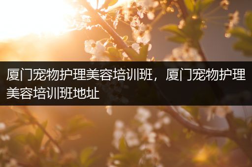 厦门宠物护理美容培训班，厦门宠物护理美容培训班地址