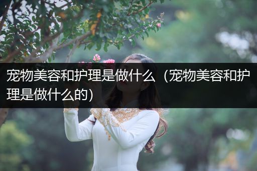 宠物美容和护理是做什么（宠物美容和护理是做什么的）