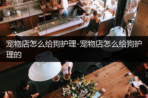 宠物店怎么给狗护理-宠物店怎么给狗护理的