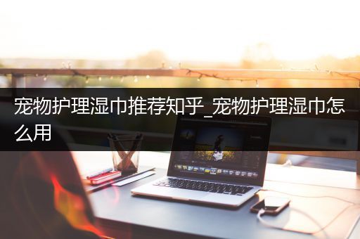 宠物护理湿巾推荐知乎_宠物护理湿巾怎么用