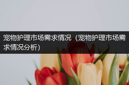 宠物护理市场需求情况（宠物护理市场需求情况分析）
