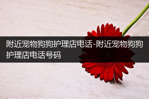 附近宠物狗狗护理店电话-附近宠物狗狗护理店电话号码