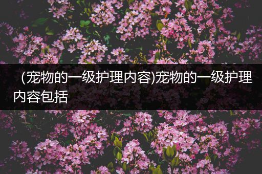 （宠物的一级护理内容)宠物的一级护理内容包括