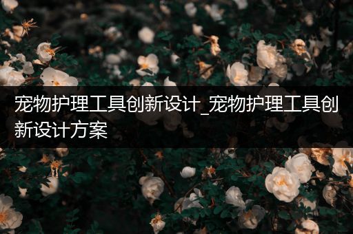 宠物护理工具创新设计_宠物护理工具创新设计方案
