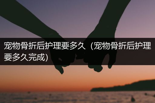 宠物骨折后护理要多久（宠物骨折后护理要多久完成）
